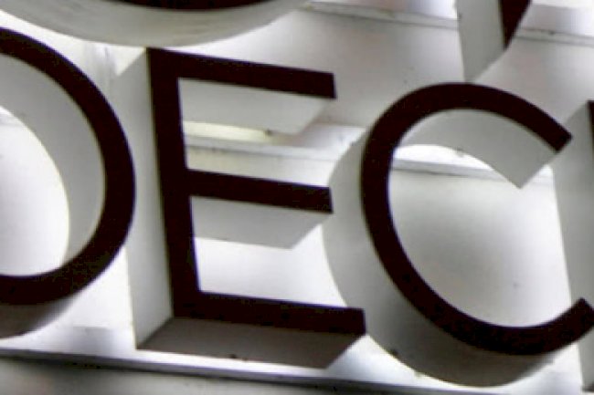 OECD Tarafından COVID-19 Pandemisinin Transfer Fiyatlandırması Uygulamalarına Etkilerini Konu Alan Rehber Yayımlanmıştır