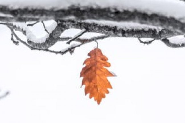 Ocak 2021 Vergi Takvimi