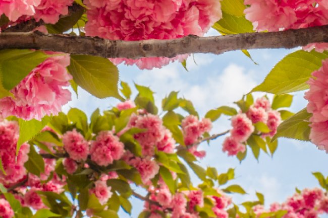 Mayıs 2021 Vergi Takvimi