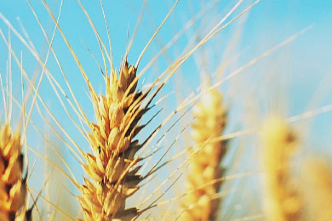 Temmuz 2021 Vergi Takvimi