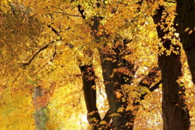 EYLÜL VERGİ TAKVİMİ