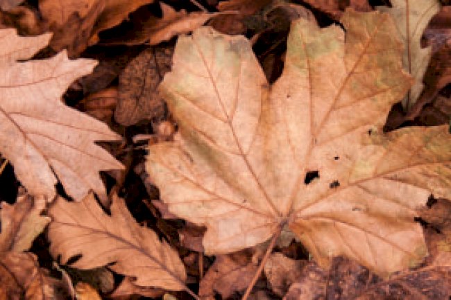 EKİM VERGİ TAKVİMİ