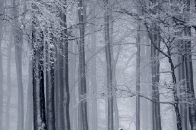 OCAK VERGİ TAKVİMİ