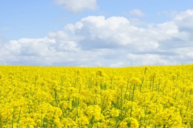 MART VERGİ TAKVİMİ