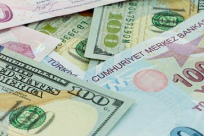 Döviz Yükümlülüğü Olan Tüzel Kişilerin Döviz veya TL Cinsinden Mevduat ve Katılma Hesaplarına Destek Sağlanmasına İlişkin Tebliğ Resmi Gazete’de Yayımlanmıştır