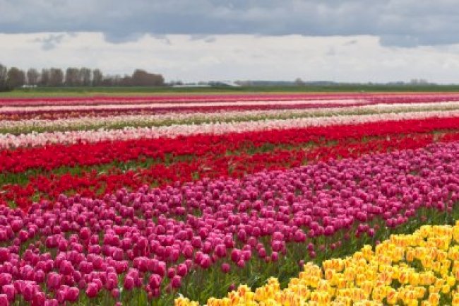 MAYIS VERGİ TAKVİMİ