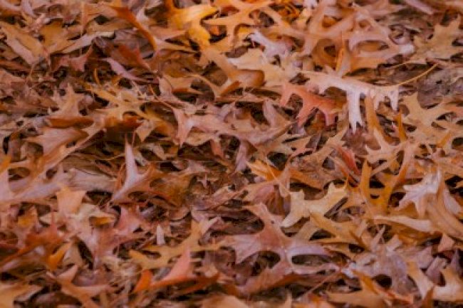 EYLÜL VERGİ TAKVİMİ