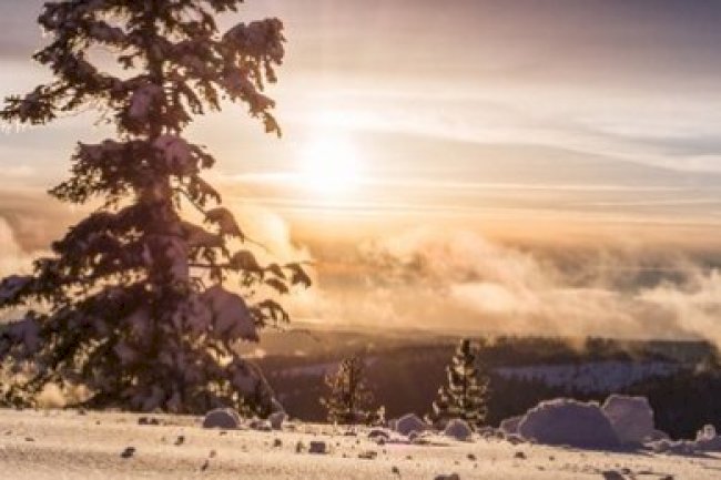 OCAK 2024 VERGİ TAKVİMİ