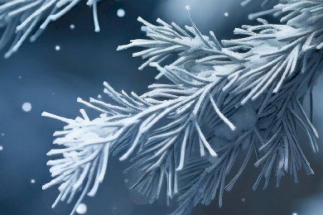 ŞUBAT 2024 VERGİ TAKVİMİ