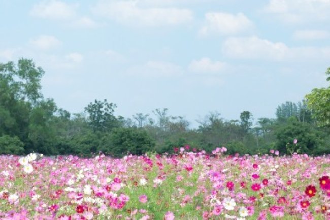 NİSAN 2024 VERGİ TAKVİMİ