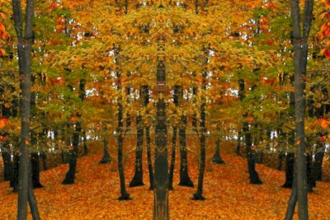 EYLÜL 2024 VERGİ TAKVİMİ