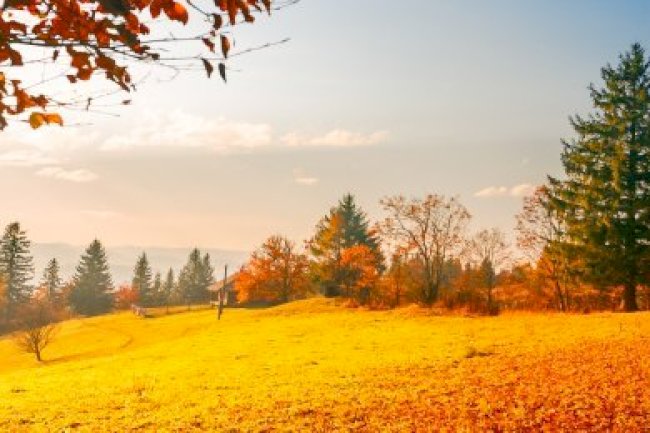 KASIM 2024 VERGİ TAKVİMİ