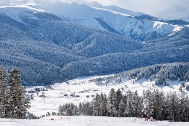 ŞUBAT 2025 VERGİ TAKVİMİ