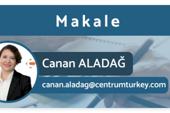 Sorularla Bazı Transfer Fiyatlandırması Kavramları ve Sonuçları