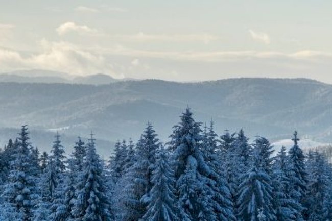 ARALIK 2025 VERGİ TAKVİMİ