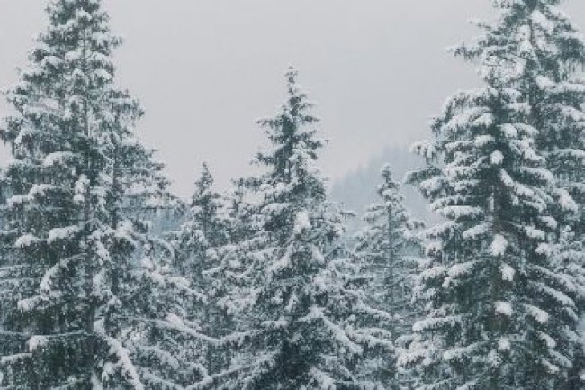 OCAK 2026 VERGİ TAKVİMİ