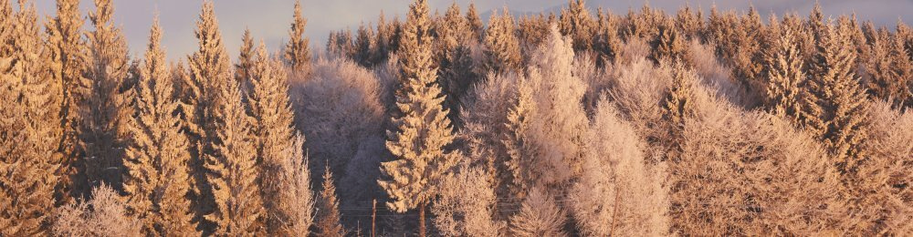 ARALIK 2024 VERGİ TAKVİMİ