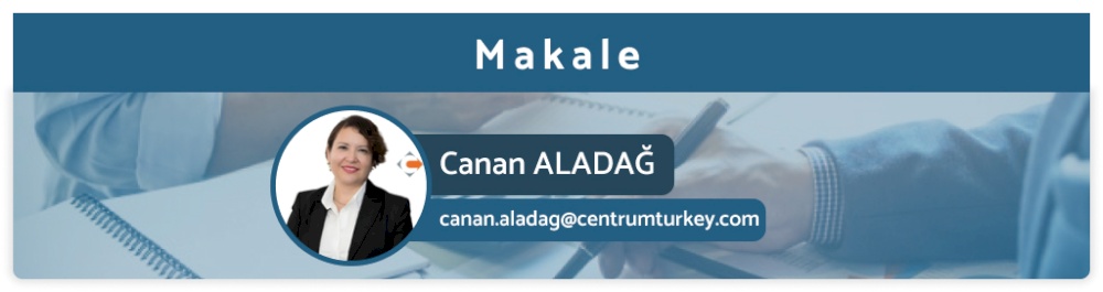 Sorularla Bazı Transfer Fiyatlandırması Kavramları ve Sonuçları